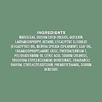 Every Man Jack Eucalyptus Mint Body Wash 33.8oz 2-Pack — image 6