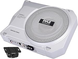 Pyle PLMRSBA10 10-Inch Amplified Subwoofer System Review
