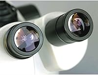 AmScope SW-3T24Z Trinocular Stereo Microscope — image 5