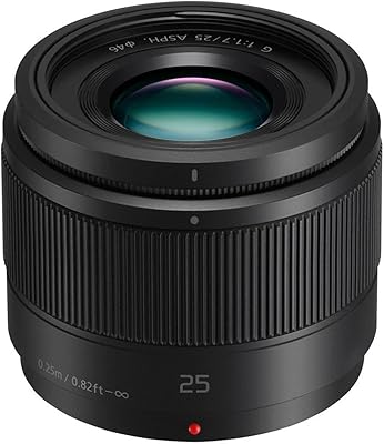 Panasonic LUMIX G 25mm F1.7 ASPH Lens