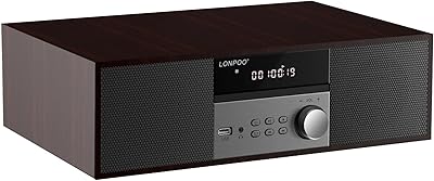 LONPOO LP-816-US Nostalgic Home Stereo System