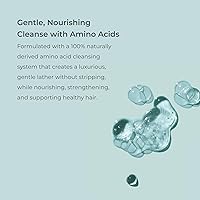 EVOLVh Natural UltraShine Moisture Shampoo 8.5oz — image 4