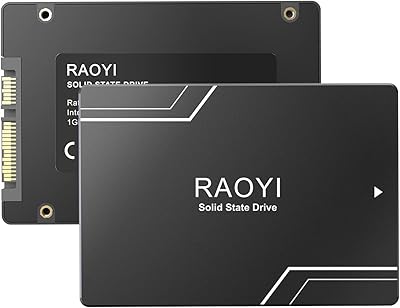 RAOYI X12 512GB SATA III SSD