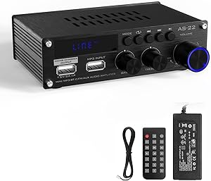 Sunbuck AS-22 Mini Amplifier