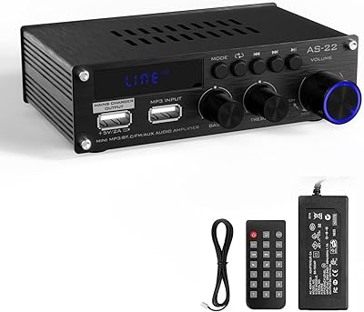 Sunbuck AS-22 Mini Amplifier