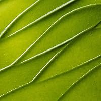 Kate Somerville ExfoliKate Intensive Exfoliating Treatment 2oz — image 7