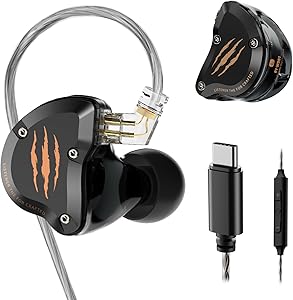 Rythflo WD01 In-Ear Monitors with USB-C and Mic Review