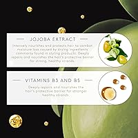 René Furterer STYLE Texture Spray 6.7oz — image 3