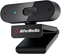 AVerMedia PW310P Webcam — image 1