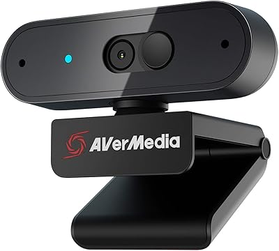 AVerMedia PW310P Webcam