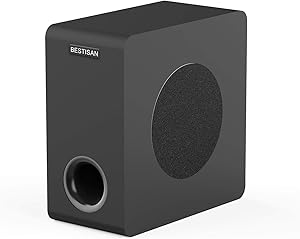 BESTISAN SW65D Powered Subwoofer Review