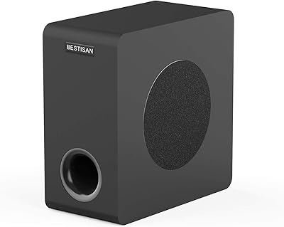 BESTISAN SW65D Powered Subwoofer