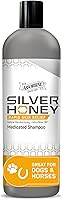 Absorbine Silver Honey Rapid Skin Relief Medicated Shampoo, 16 fl oz — image 1