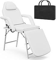 Paddie Portable Tattoo Chair with Storage Bag, White — image 1