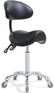 Antlu Saddle Stool Rolling Chair with Back Support Review