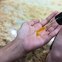 Mambino Organics Bun in the Oven Kit — image 3