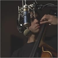 Blue Microphone Bluebird SL XLR Cardioid Condenser Microphone — image 4