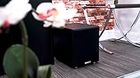 Rockville Rock Shaker 8 Powered Subwoofer — image 7