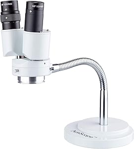 AmScope SE508 8X Magnification Binocular Stereo Microscope Review