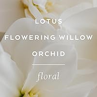 LOLLIA Imagine Eau de Parfum, 3.4 oz — image 5