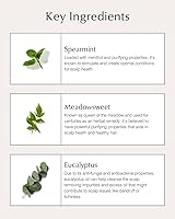 John Masters Organics Scalp Stimulating Shampoo 8 oz — image 6