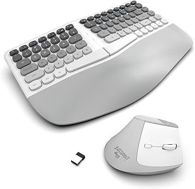 LgnitionKeys LK02 Ergonomic Wireless Keyboard and Mouse Set
