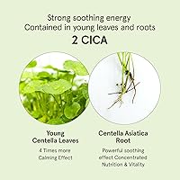 ONE THING CICA B5 Moisturizing Cream 70mL — image 5