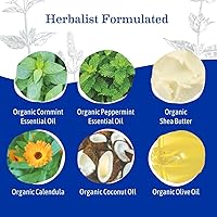 Earth Mama Wild Peppermint Hand & Body Wash 34 fl oz — image 4