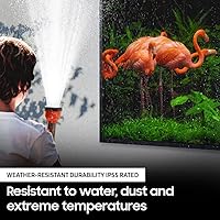 Samsung 55-inch Class QLED 4K The Terrace Outdoor TV — image 4