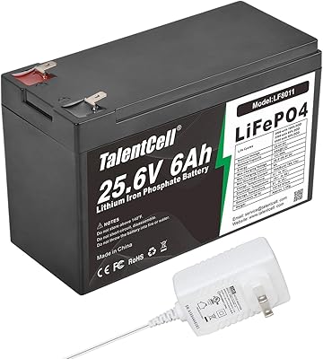 Talentcell LF8011 24V 6Ah LiFePO4 Battery Pack