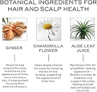 Zenagen Revolve Conditioner 5oz — image 3