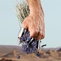 Dolce&Gabbana K Eau De Toilette Spray 6.7oz — image 5