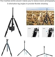 Sirui Traveler 7A Aluminum Camera Tripod — image 4