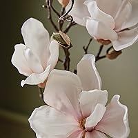 Thymes Hand Wash Magnolia Willow 15oz — image 2