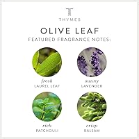 Thymes Olive Leaf Body Lotion 9.25oz — image 4