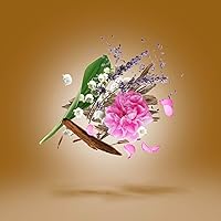 Xerjoff Alexandria II Eau de Parfum 50mL — image 5