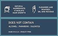 New York Biology Tea Tree Shampoo and Conditioner Set 16.9 Fl Oz — image 8