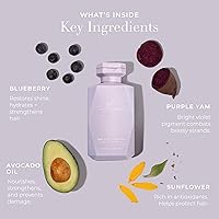 Goldie Locks Brilliant Blonde Purple Shampoo 8.45oz — image 7