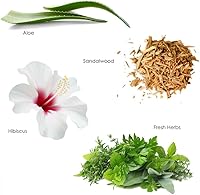 Gilchrist & Soames Zero% Unisex Shower Gel and Body Wash 15.5oz — image 5