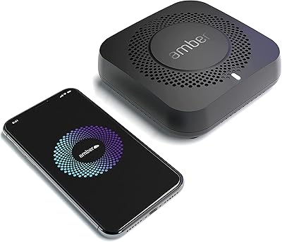 AMBER X Smart Personal Cloud Storage Device 512GB SSD