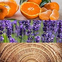 Calvin Klein Obsession for Men Eau de Toilette 125mL — image 3