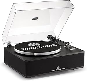 ANGELS HORN Bluetooth Vinyl Record Player Review