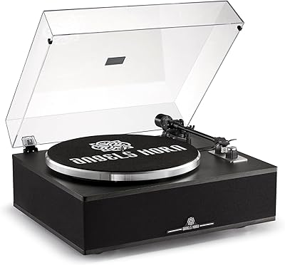 Angels Horn HP-H019 Turntable