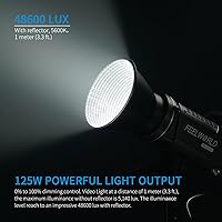 FEELWORLD FL125D 125W Video Studio Light — image 2