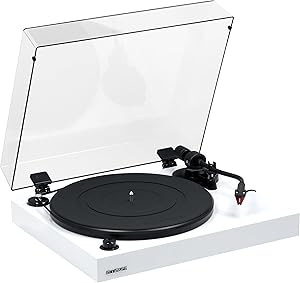 Fluance RT83 Turntable Review