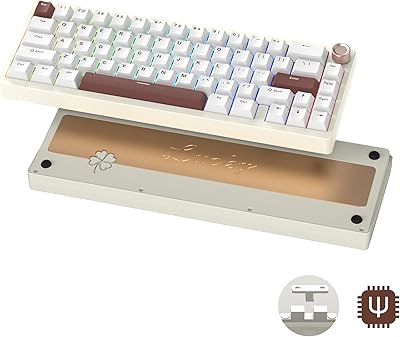 Womier SK65 Wireless Mechanical Gaming Keyboard