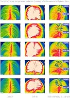 TS New TS Cool Shampoo 17.6oz — image 6