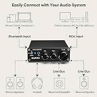 Saiyin PA300H Bluetooth Stereo Power Amplifier — image 4