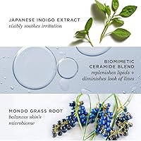 TATCHA Indigo Overnight Repair Face Cream & Serum Treatment 50mL — image 5