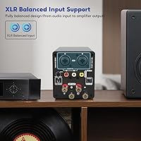 AIYIMA A70 Balanced Stereo Amplifier — image 5